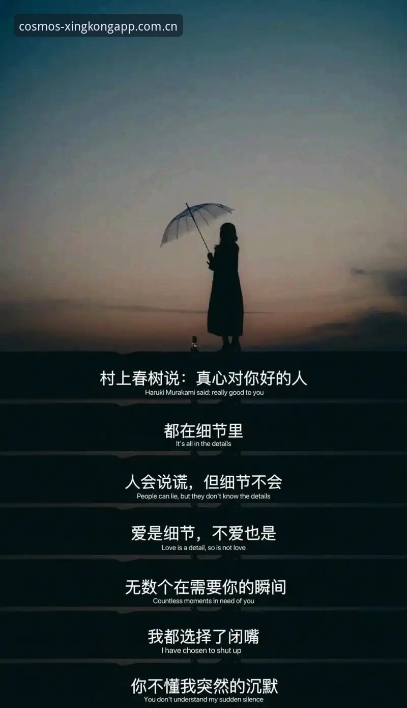 揭秘星空自定义元启版登录：你想要的“秒进”其实藏在这些细节里